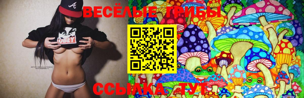 Асбест  Псилоцибиновые грибы Psilocybe  Галлюциногенные грибы Cubensis  Вход с VPN 